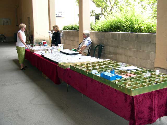 P6050208